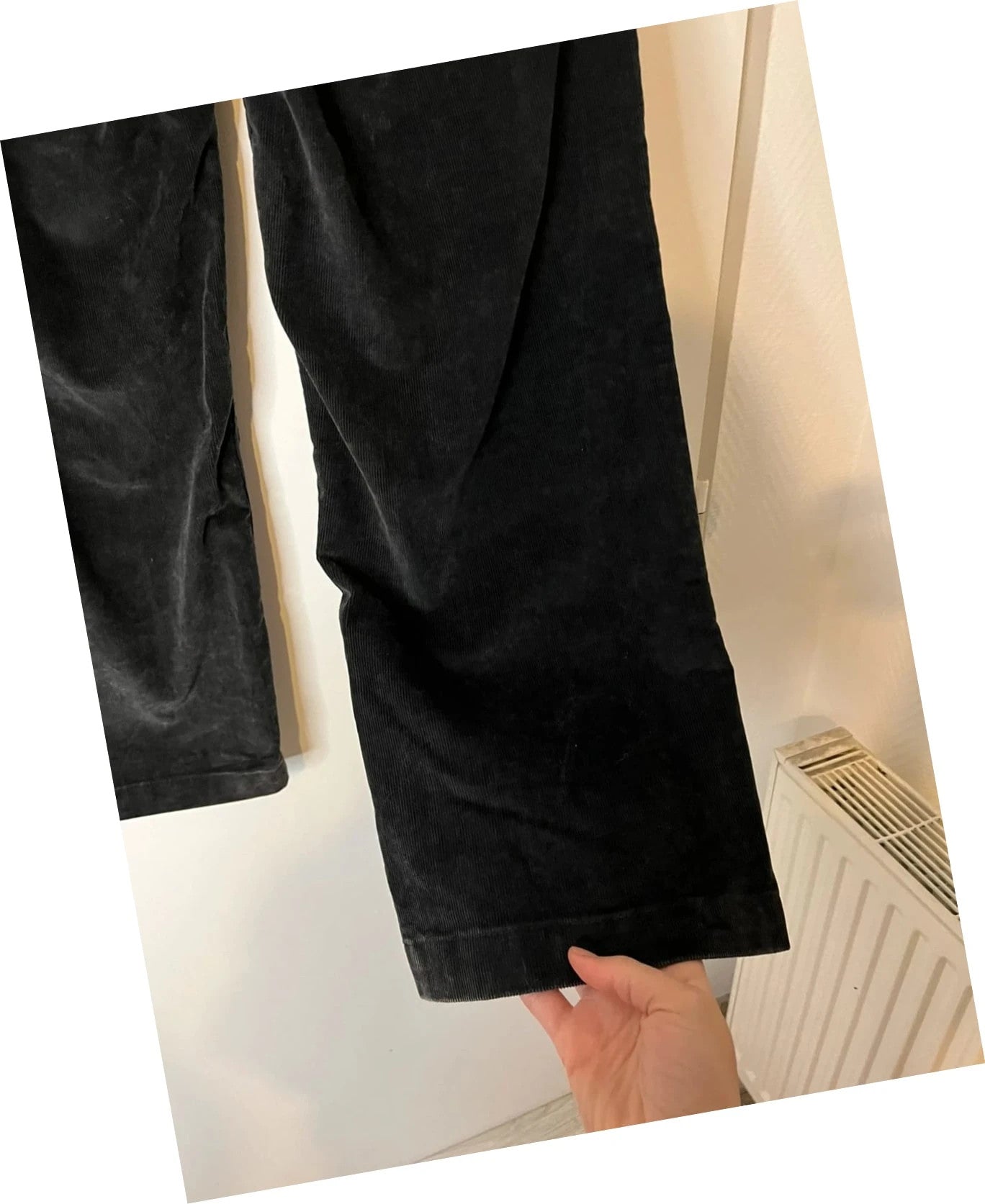 Dickies Chase City Pant velours