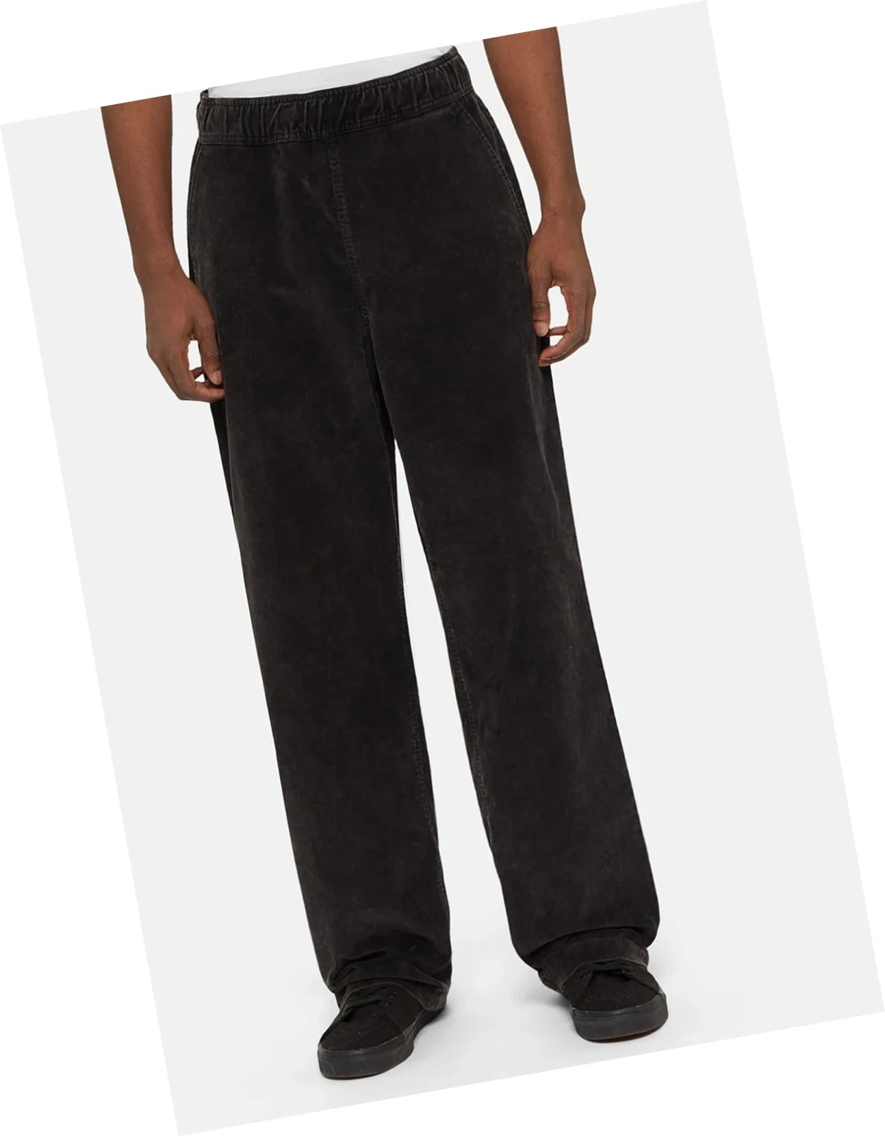 Dickies Chase City Pant velours